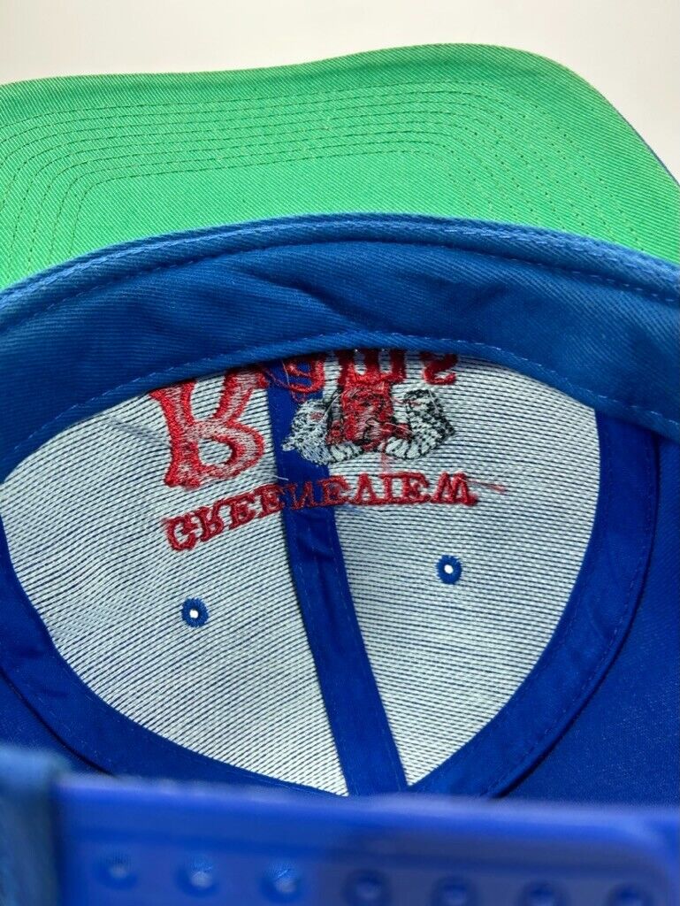 Vintage 90s Greenview Rams Embroidered Spellout Snapback Hat OSFA