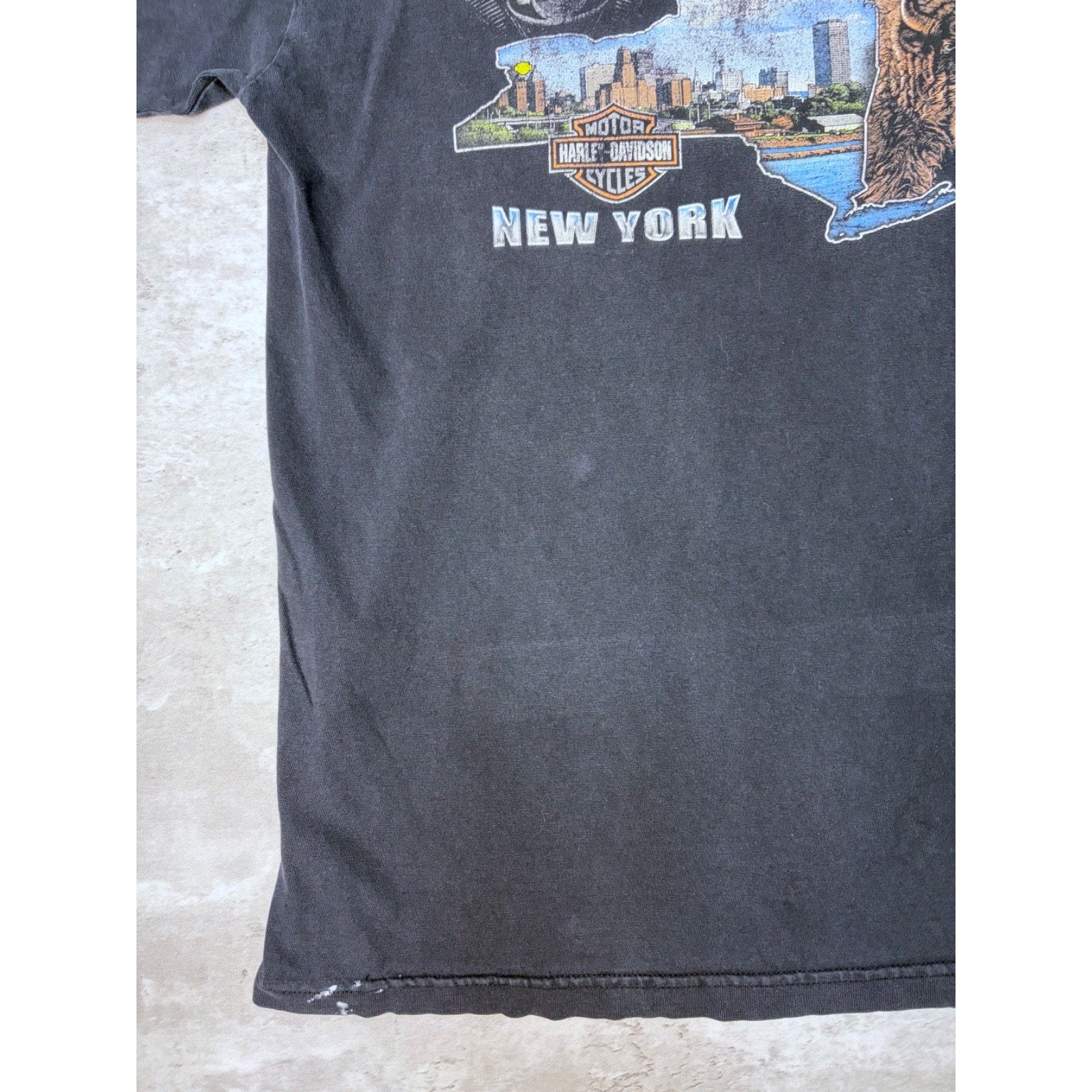 Vintage 2005 Harley Davidson Buffalo Destination Graphic T-Shirt Size Large