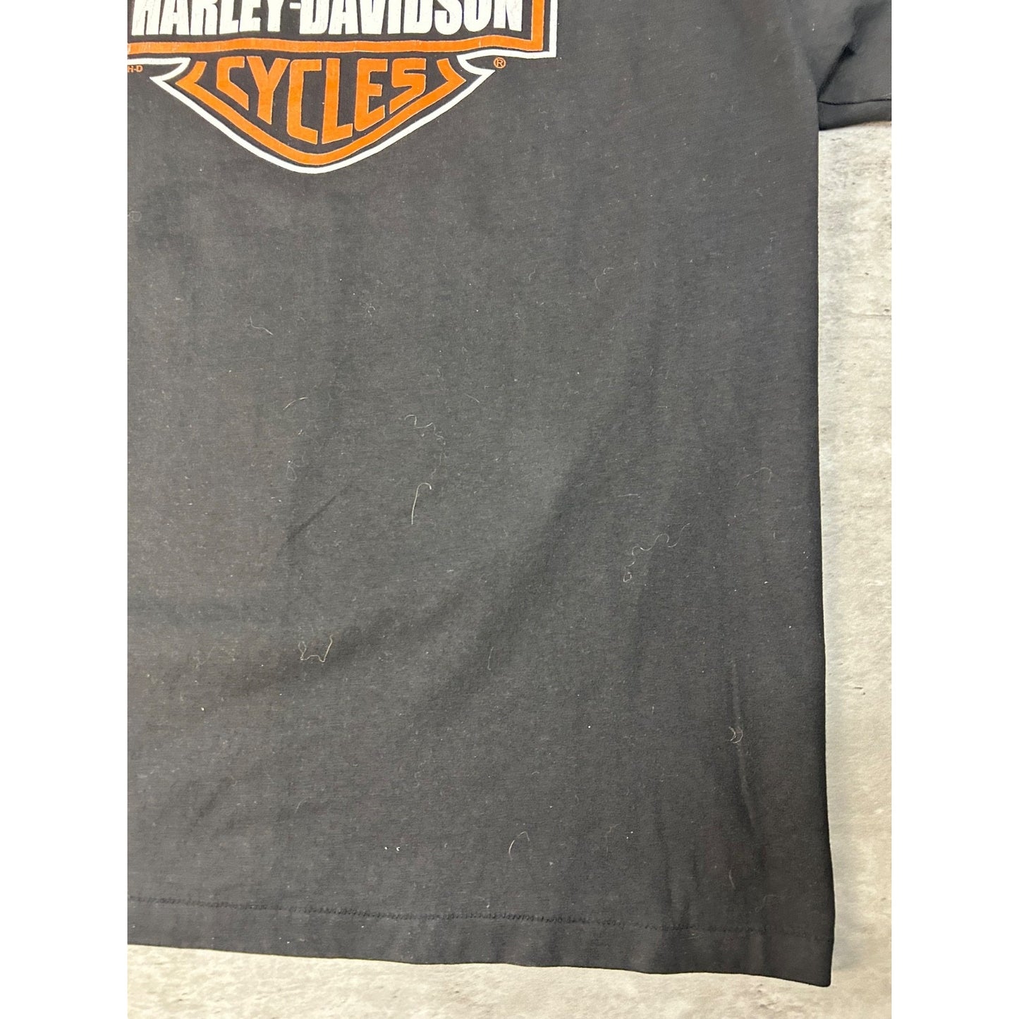 Vintage 1996 Harley Davidson Righteous Ruler Bald Eagle Graphic T-Shirt Sz Large