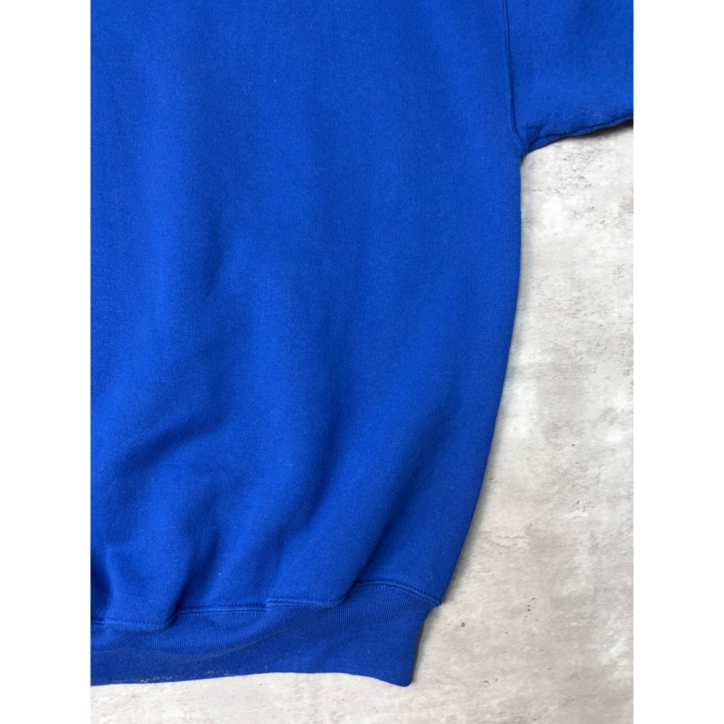 Vintage Detroit Lions NFL Embroidered Arc Spellout Sweatshirt Size Large