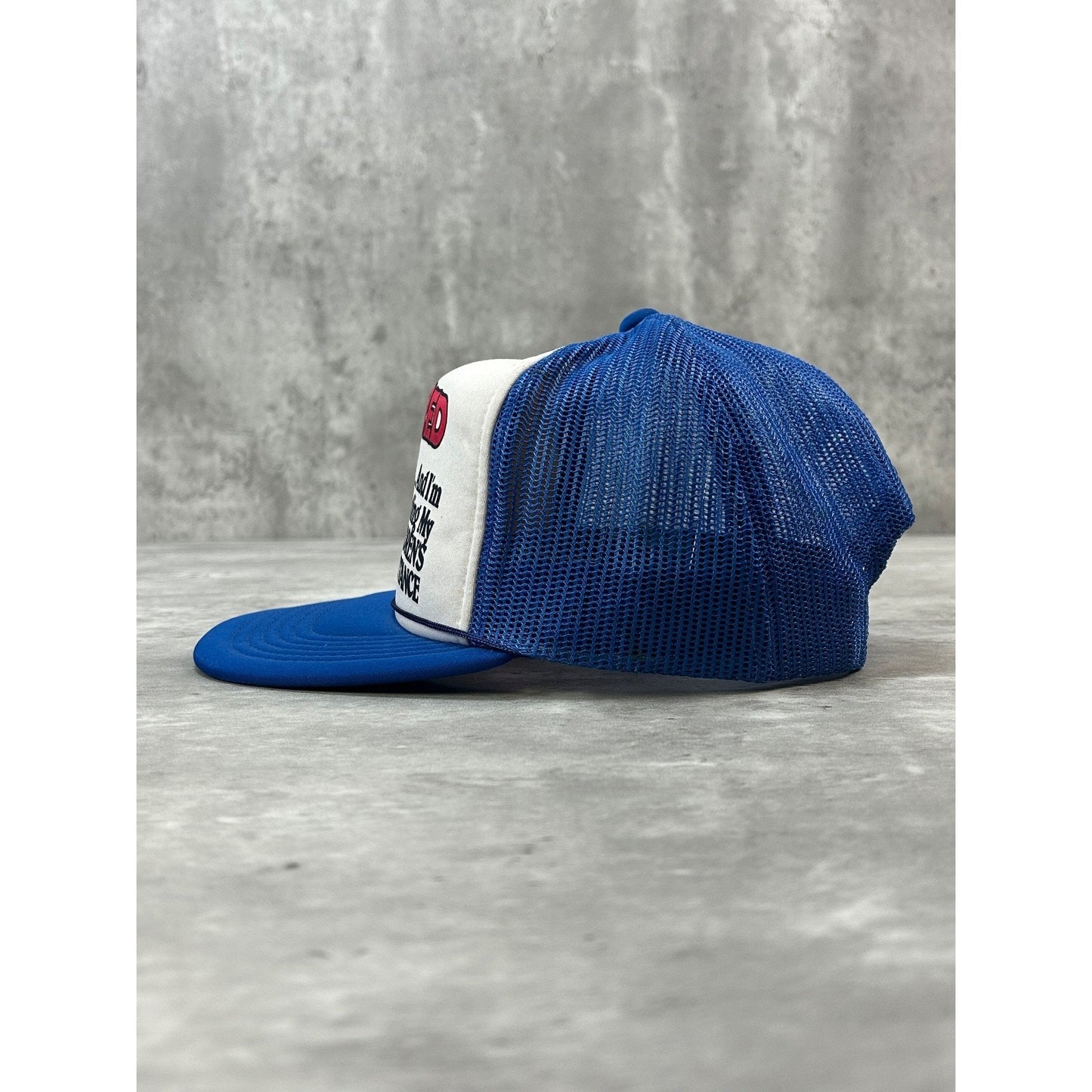 Vintage 80s/90s Retired And Spending My Children's Inheritance Snapback Hat OSFA