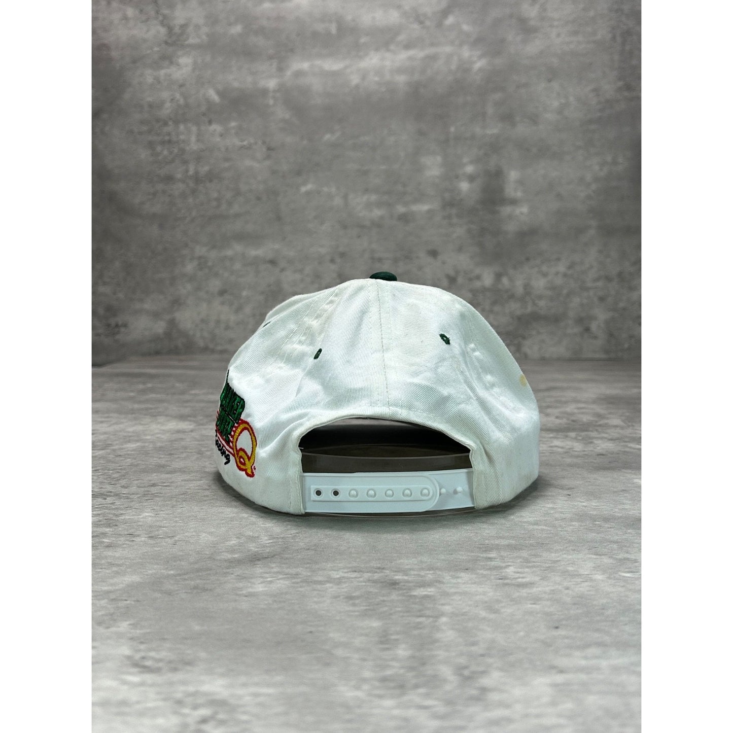 Vintage Jeff Gordon #24 NASCAR Embroidered Two Tone Snapback Hat OSFA