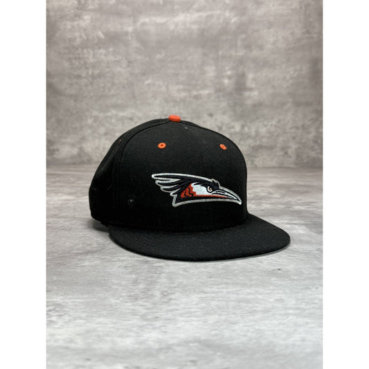 Delmarva Shoe Birds MiLB Embroidered Logo Baseball Fitted Hat 7 1/2 Black