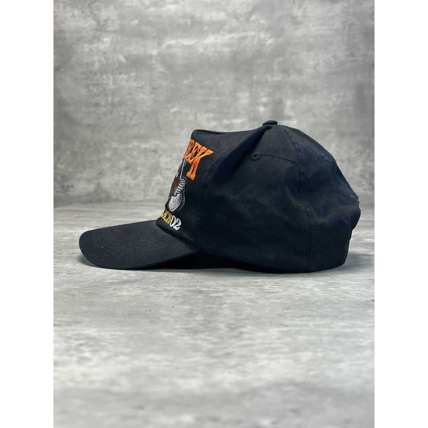 Vintage 2002 Bike Week Embroidered Bald Eagle Motorcycle Snapback Hat OSFA