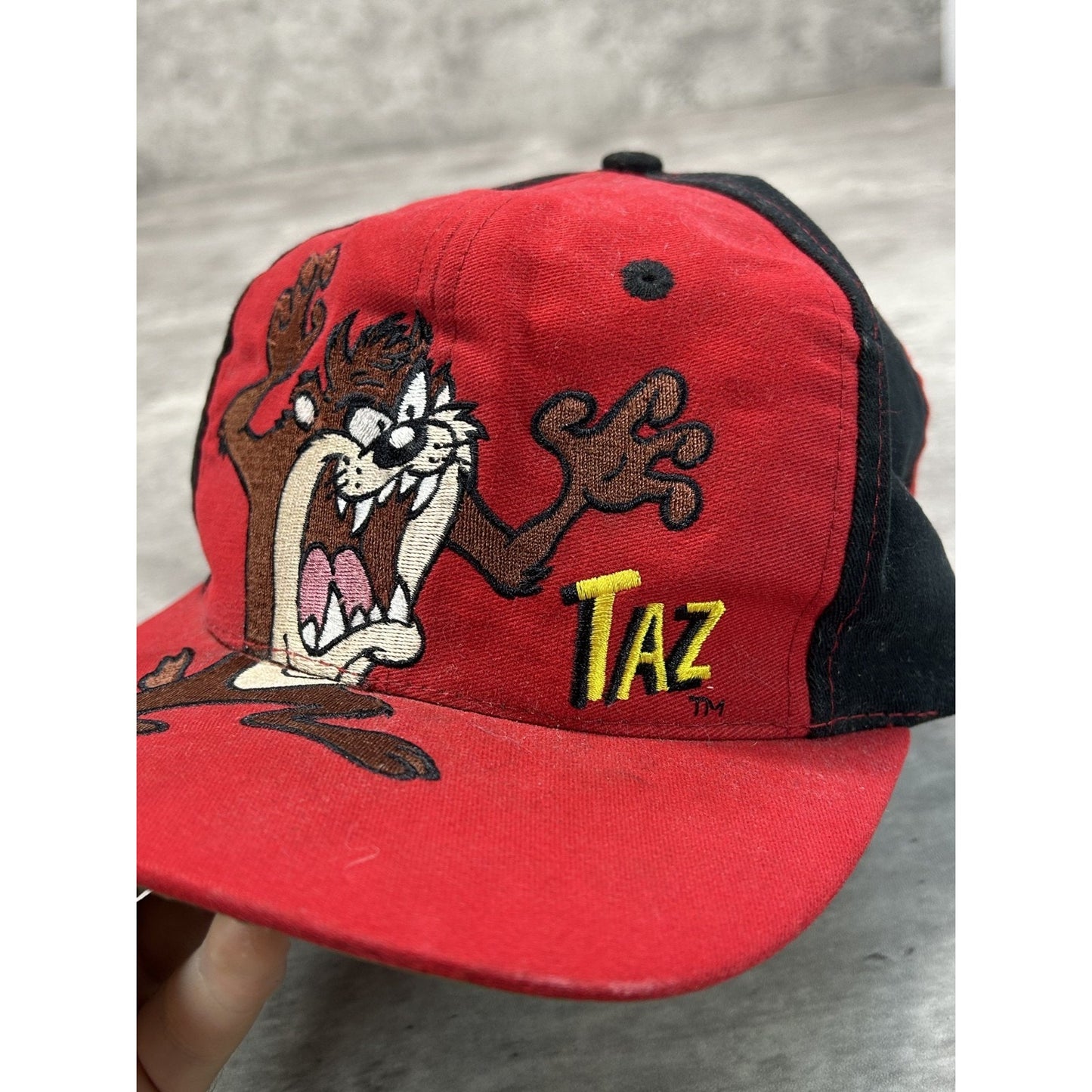 Vintage 1994 Looney Tunes Taz Embroidered Cartoon Character Snapback Hat OSFA