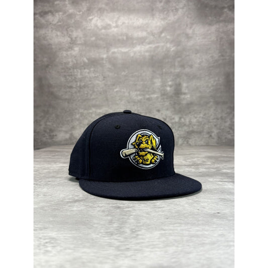 Charleston Riverdogs MiLB Embroidered Logo Baseball Fitted Hat 7 3/8