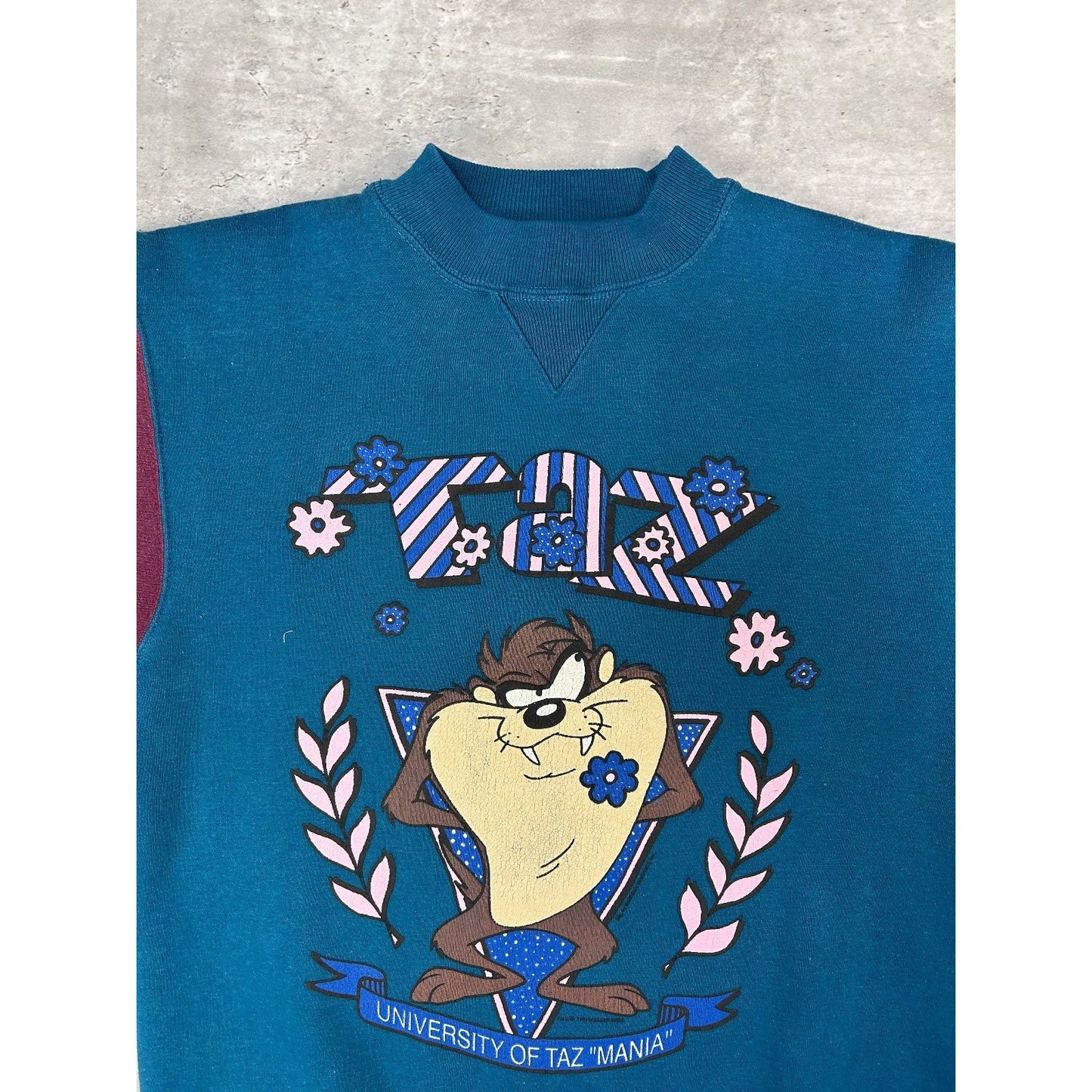 Vintage 1993 Looney Tunes University Of Tazmania Taz Graphic Sweatshirt Medium