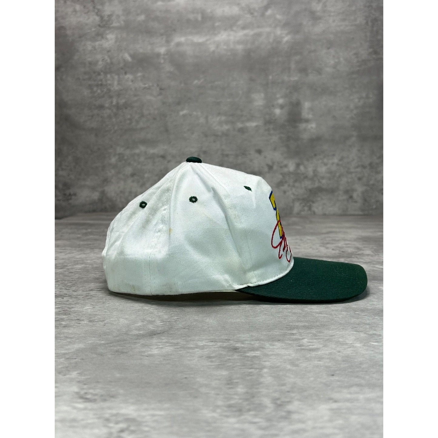 Vintage Jeff Gordon #24 NASCAR Embroidered Two Tone Snapback Hat OSFA