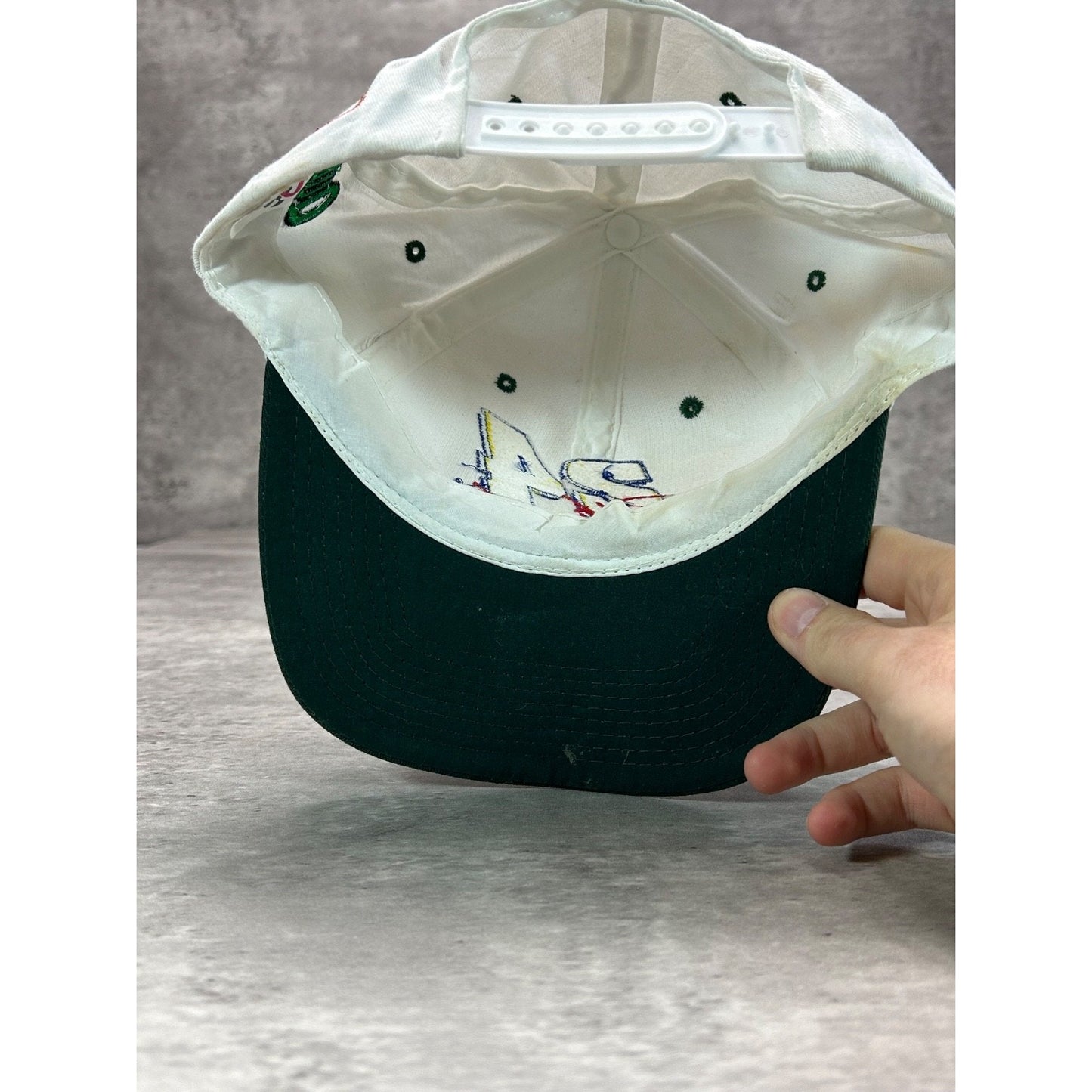 Vintage Jeff Gordon #24 NASCAR Embroidered Two Tone Snapback Hat OSFA