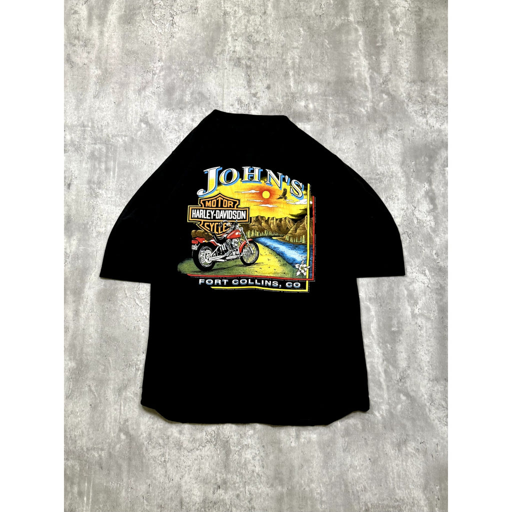 Vintage Harley Davidson Fort Collins Landscape Graphic Baseball Jersey Sz Large