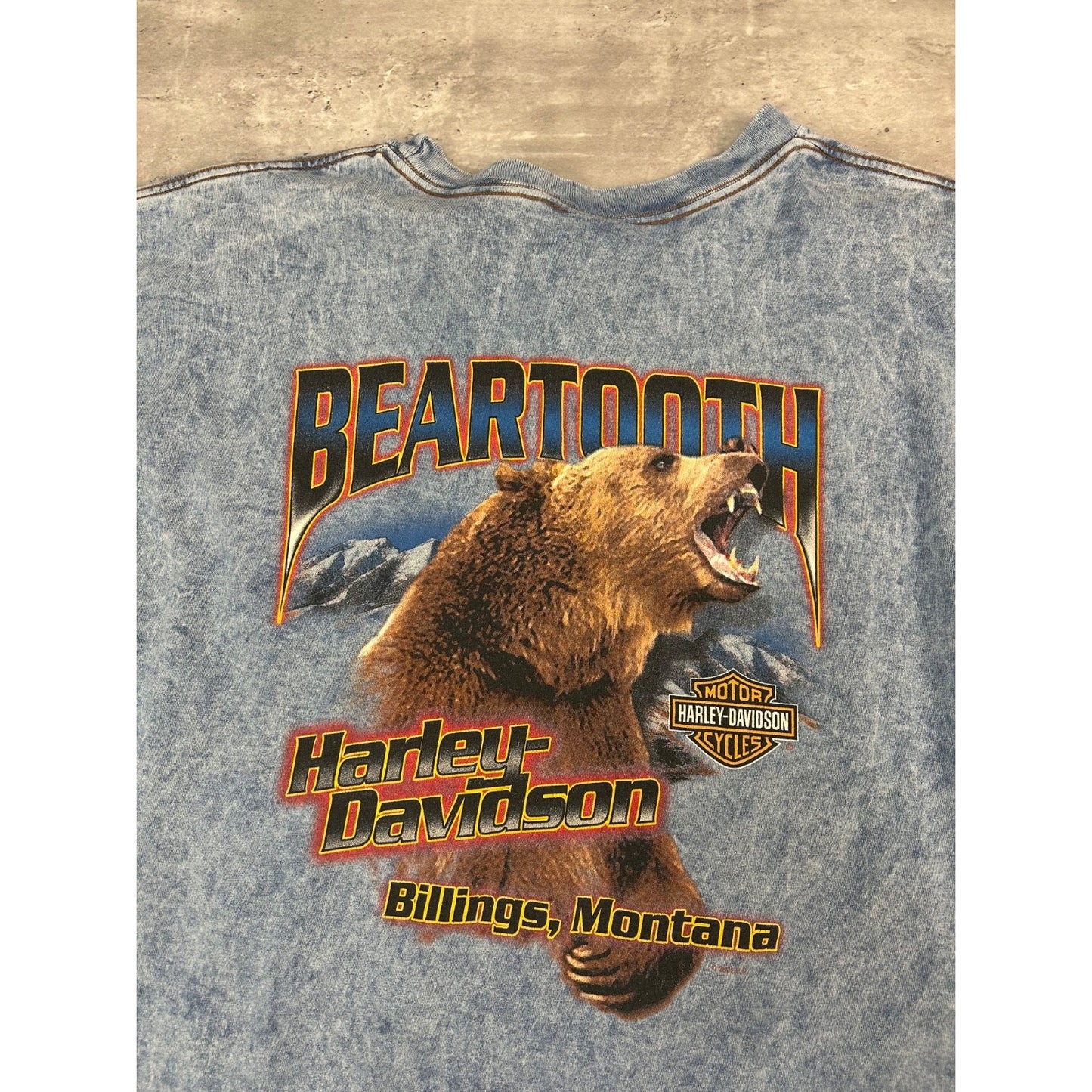 Vintage Harley Davidson Montana Bear Graphic Tye Dye T-Shirt Size XL