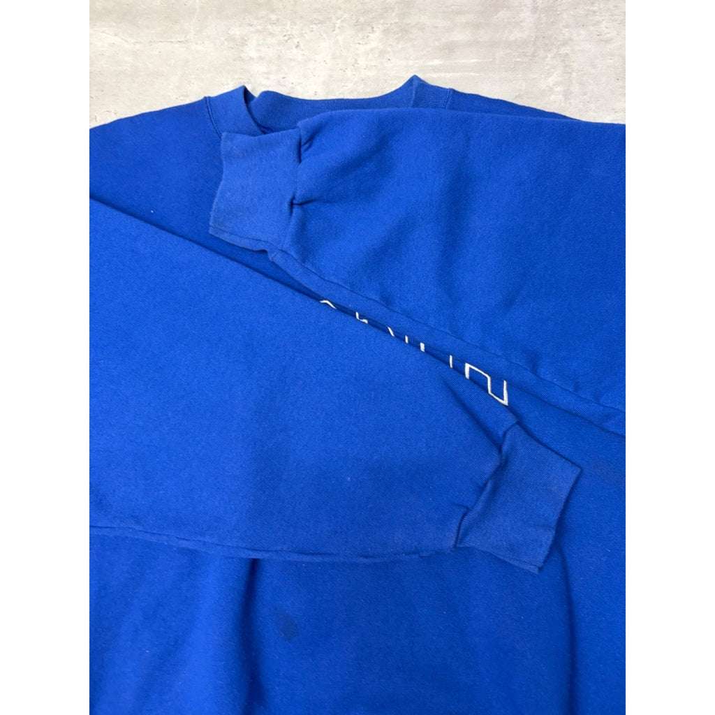 Vintage Detroit Lions NFL Embroidered Arc Spellout Sweatshirt Size Large