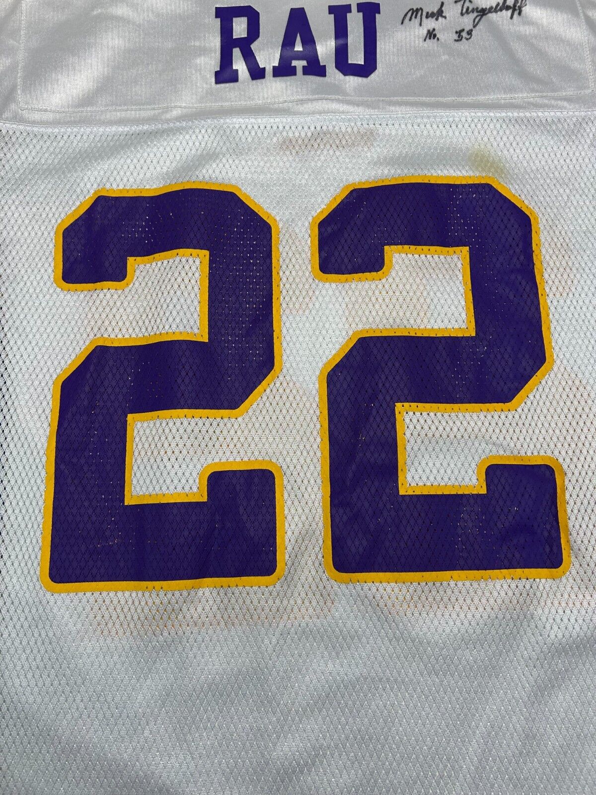 Minnesota Vikings NFL #22 Rau Reebok Football Jersey Size Large White