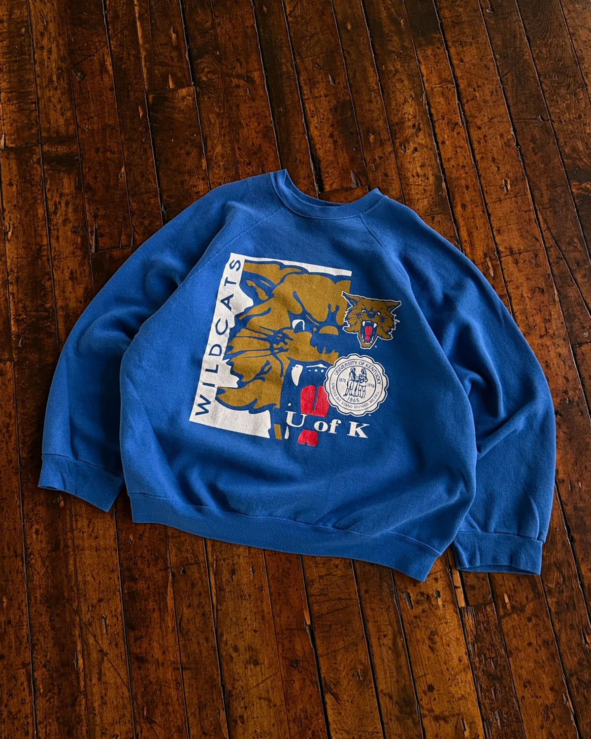 Vintage 90s Kentucky WIldcats NCAA Big Graphic Collegiate Sweatshirt Size XL