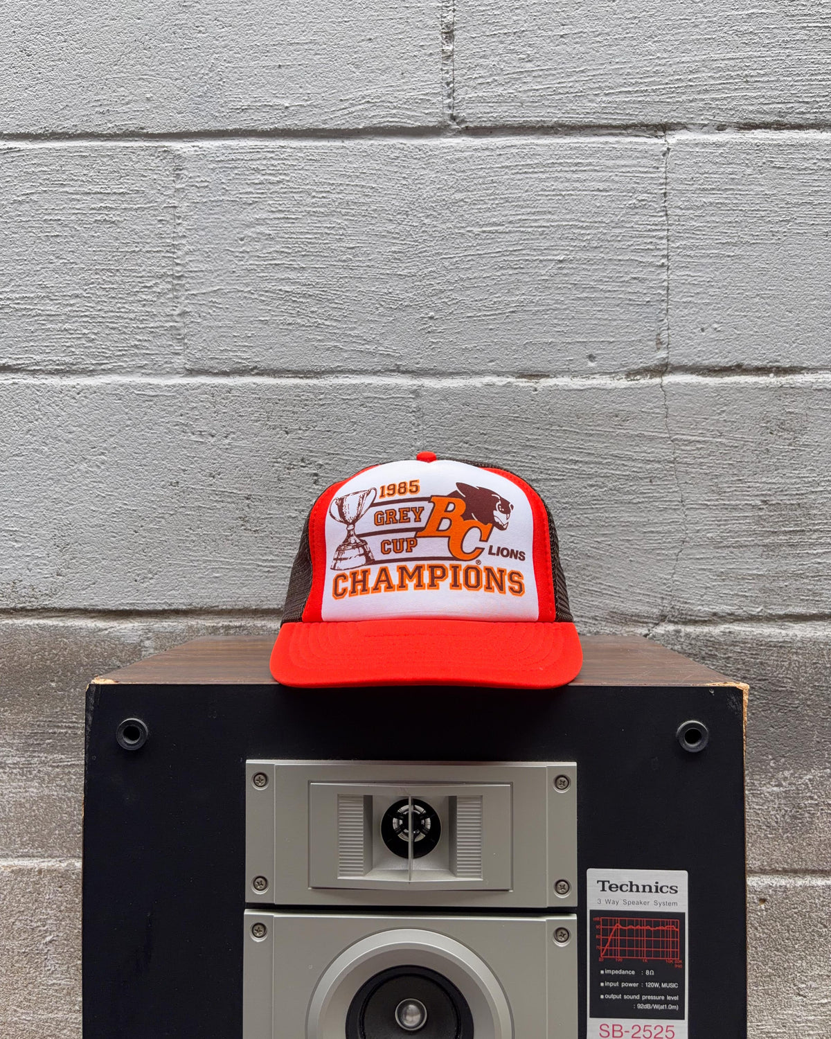 Casquette trucker vintage 1985 des Lions de la C.-B., champions de la Coupe Grey de la LCF, taille unique