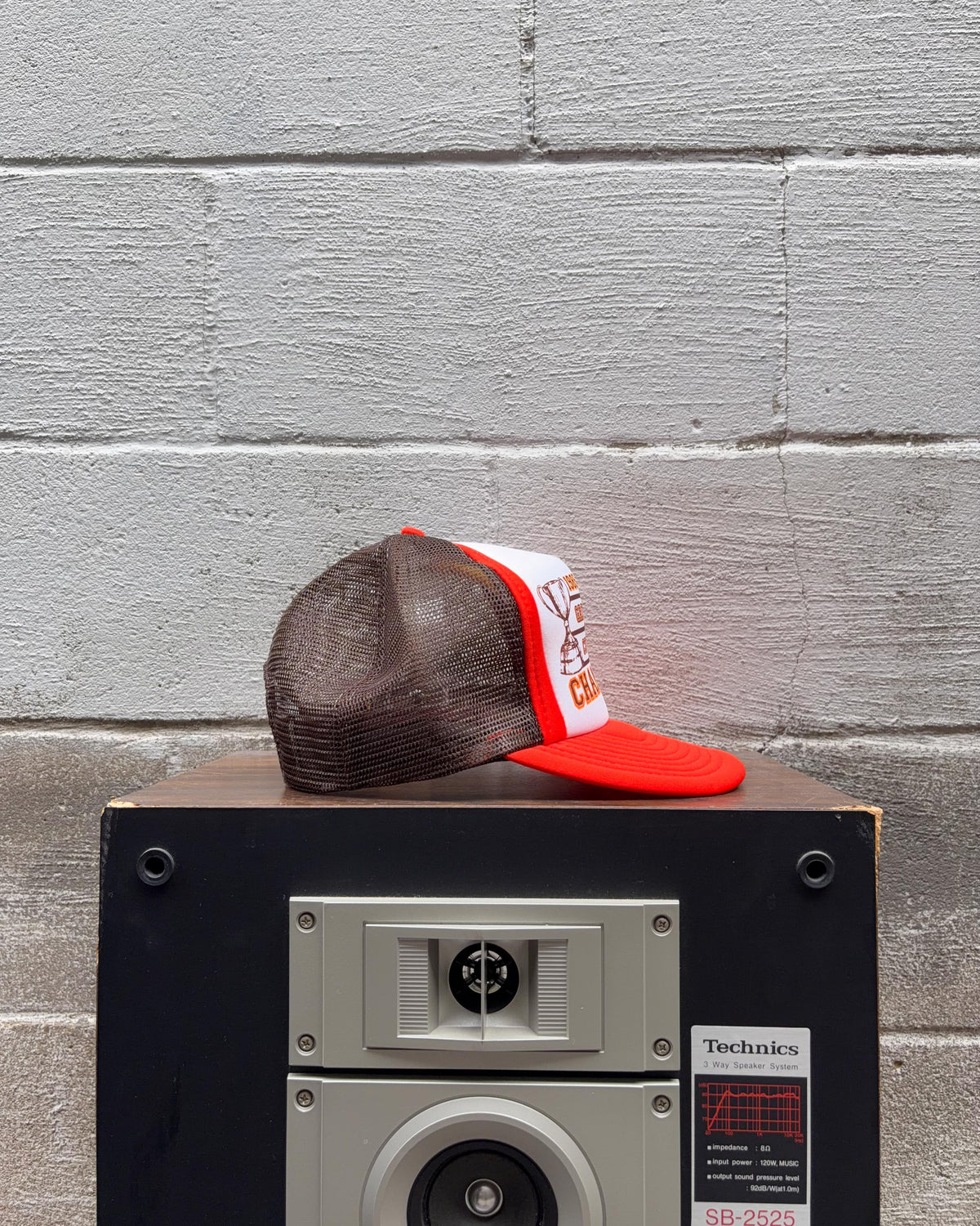 Casquette trucker vintage 1985 des Lions de la C.-B., champions de la Coupe Grey de la LCF, taille unique
