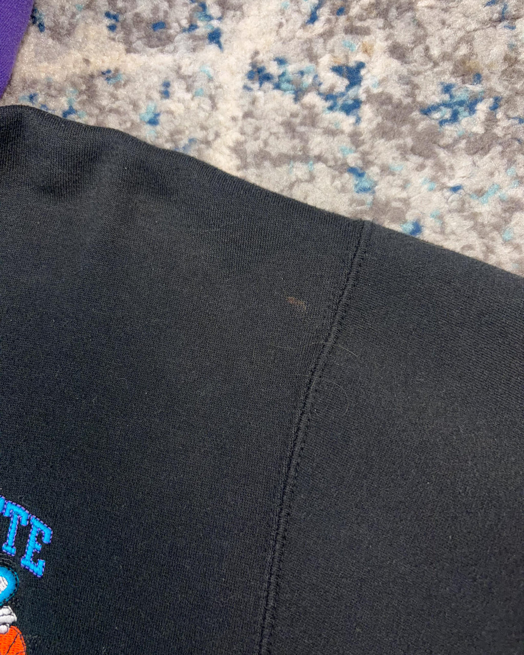 Vintage 90s Charlotte Hornets NBA Embroidered Starter Double Hooded Sweatshirt Size Medium
