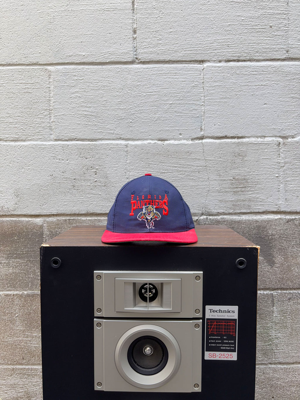 Vintage Florida Panthers NHL Embroidered Spellout Logo Snapback Hat Size YOUTH 4-7