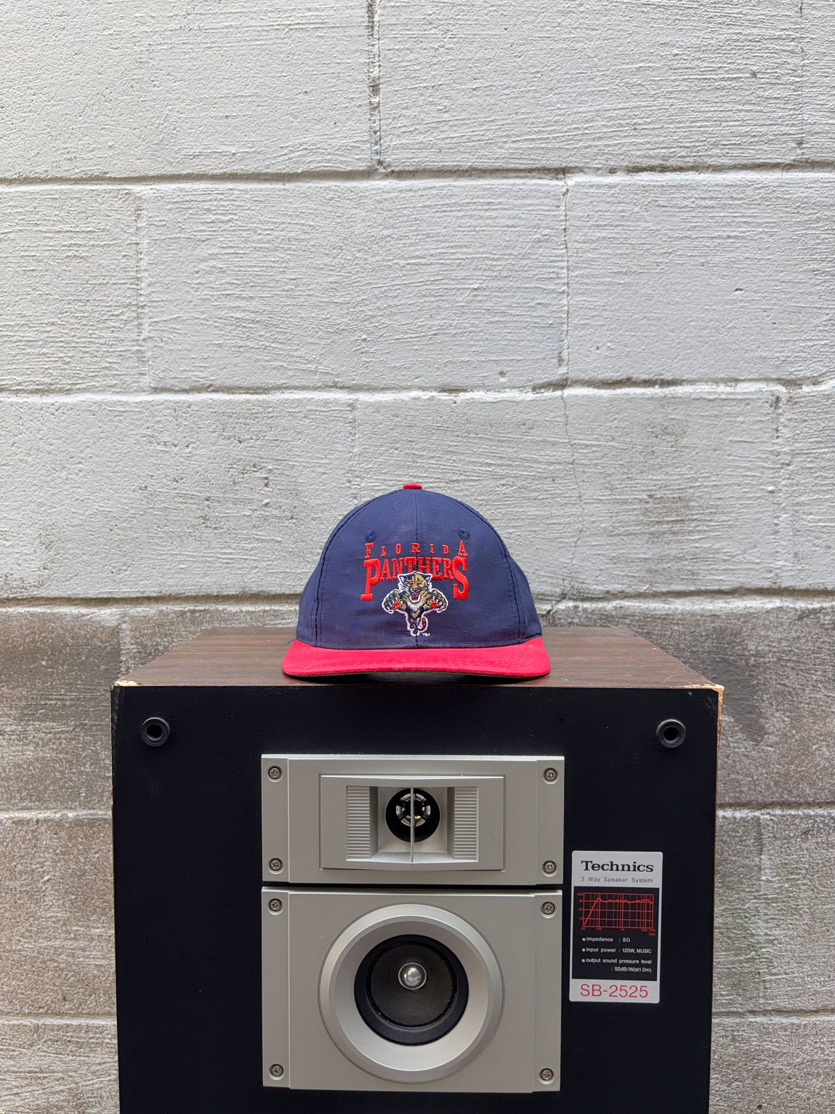 Vintage Florida Panthers NHL Embroidered Spellout Logo Snapback Hat Size YOUTH 4-7