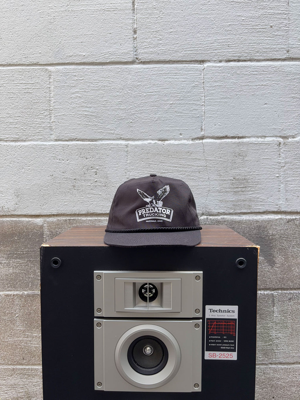 Vintage Predator Trucking Ohio Eagle Spellout Graphic Snapback Hat OSFA