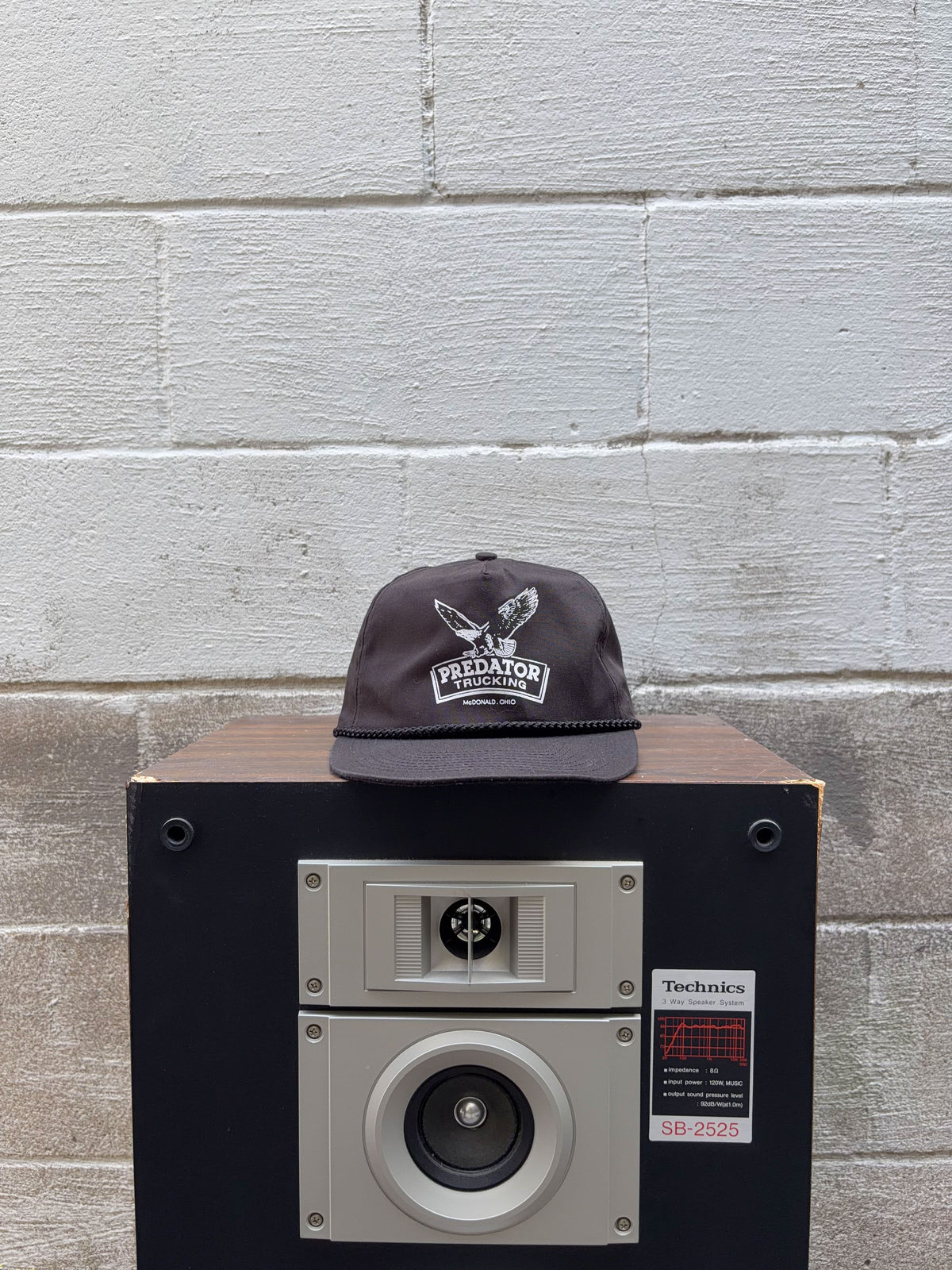 Vintage Predator Trucking Ohio Eagle Spellout Graphic Snapback Hat OSFA