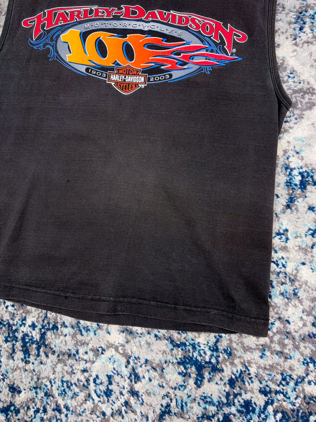 Vintage 2003 Harley Davison 100th Anniversary Flame Spellout Sleeveless T-Shirt Size Small