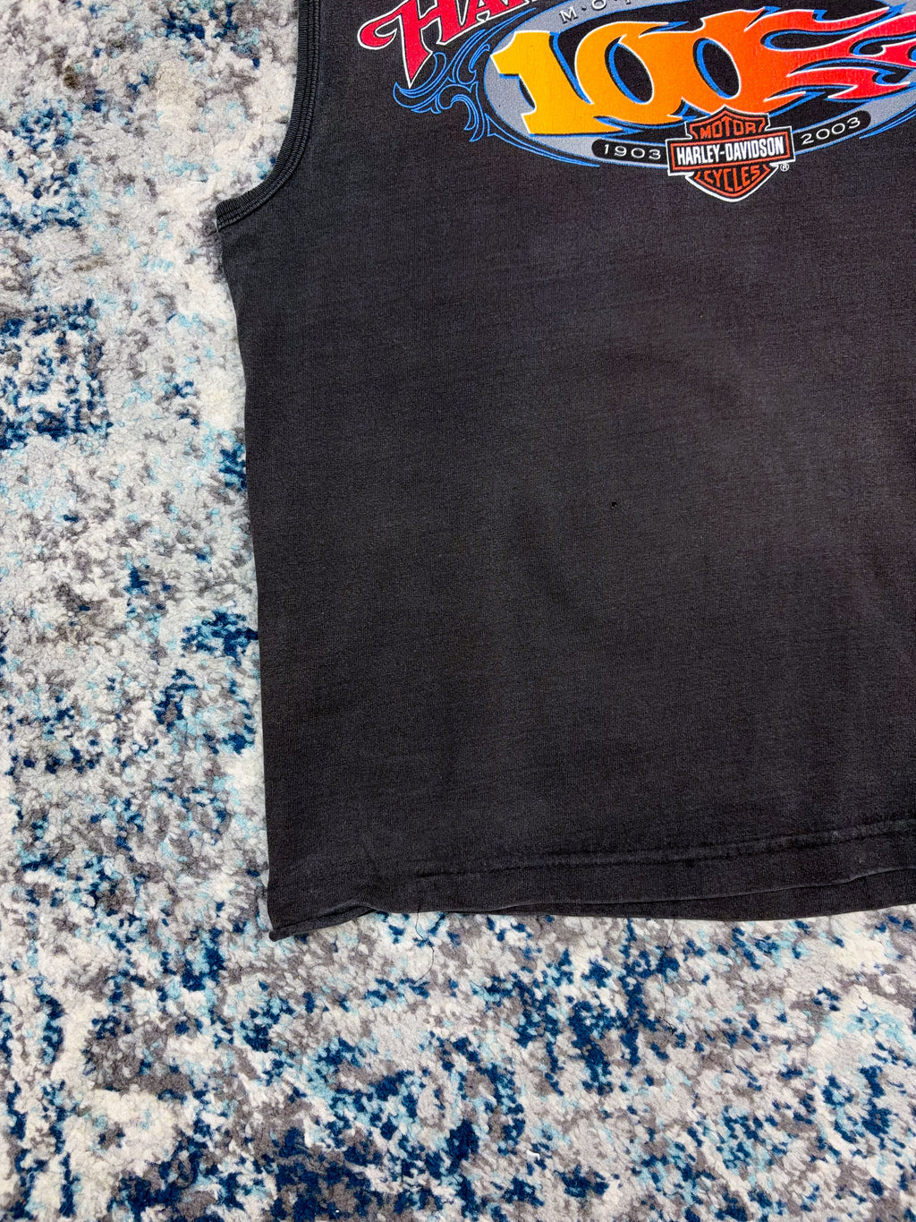Vintage 2003 Harley Davison 100th Anniversary Flame Spellout Sleeveless T-Shirt Size Small