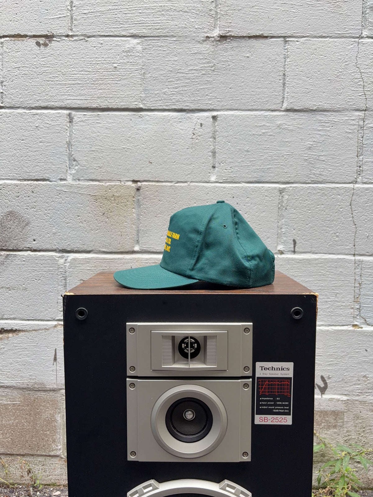 Vintage 90s John Deere Greendale Farm Garden Ontario Snapback Hat OSFA