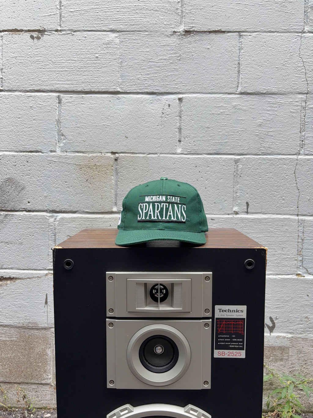Vintage Michigan State Spartans NCAA Embroidered Spellout Snapback Hat OSFA