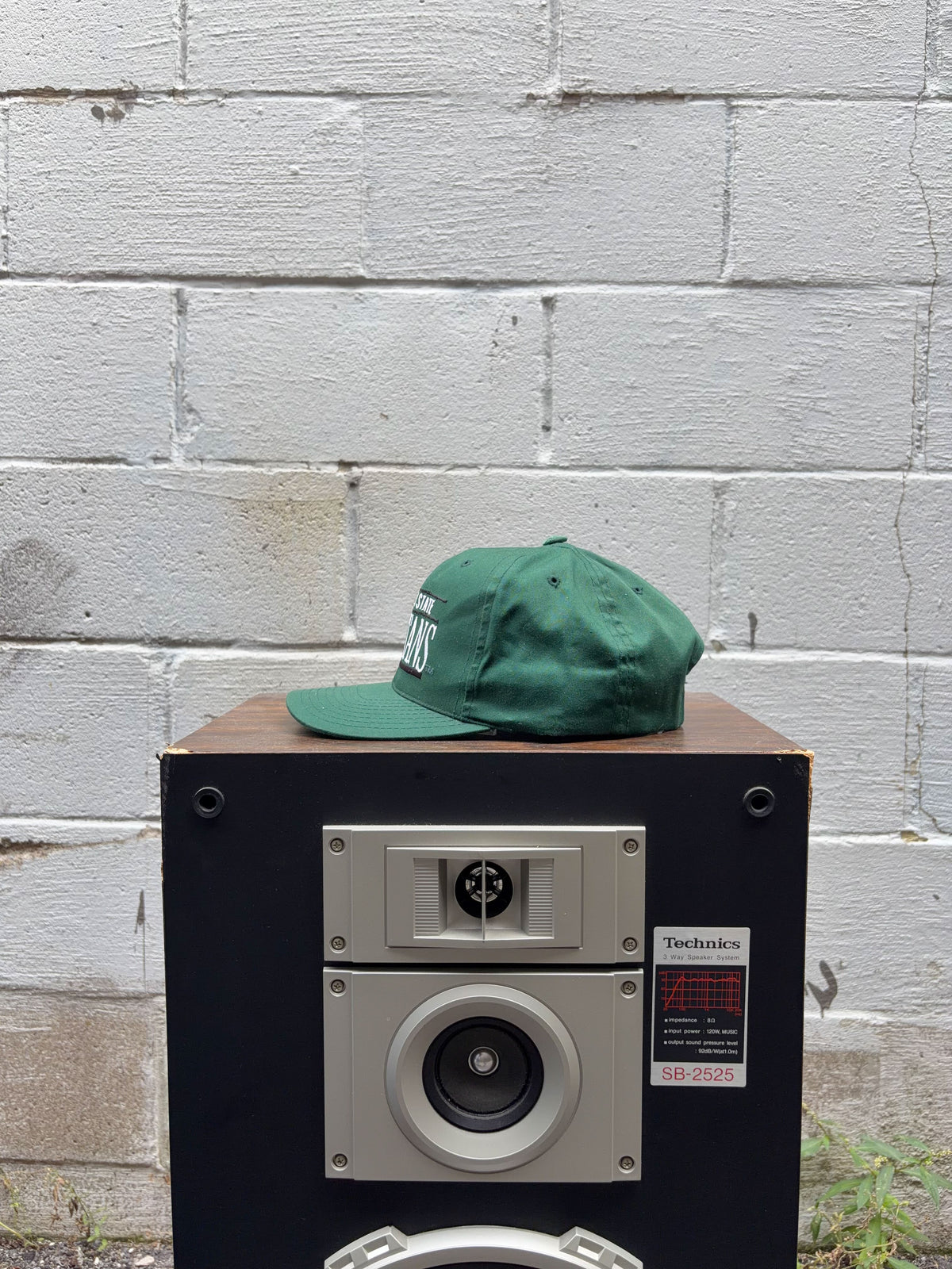 Vintage Michigan State Spartans NCAA Embroidered Spellout Snapback Hat OSFA