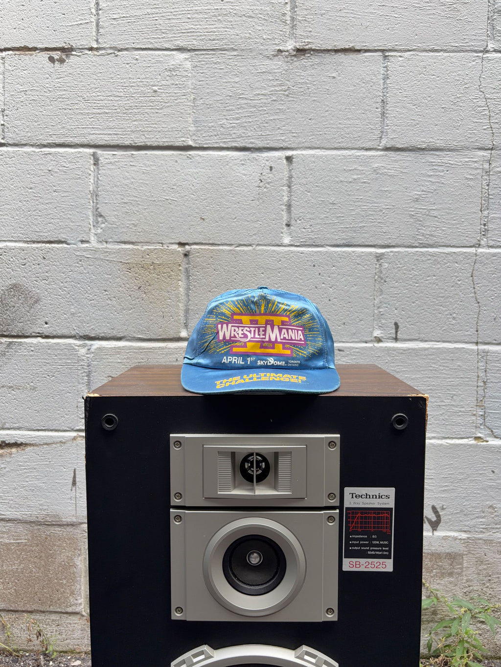 Vintage 1990 Wrestlemania VI The Ultimate Challenge Skydone Satin Snapback Hat OSFA