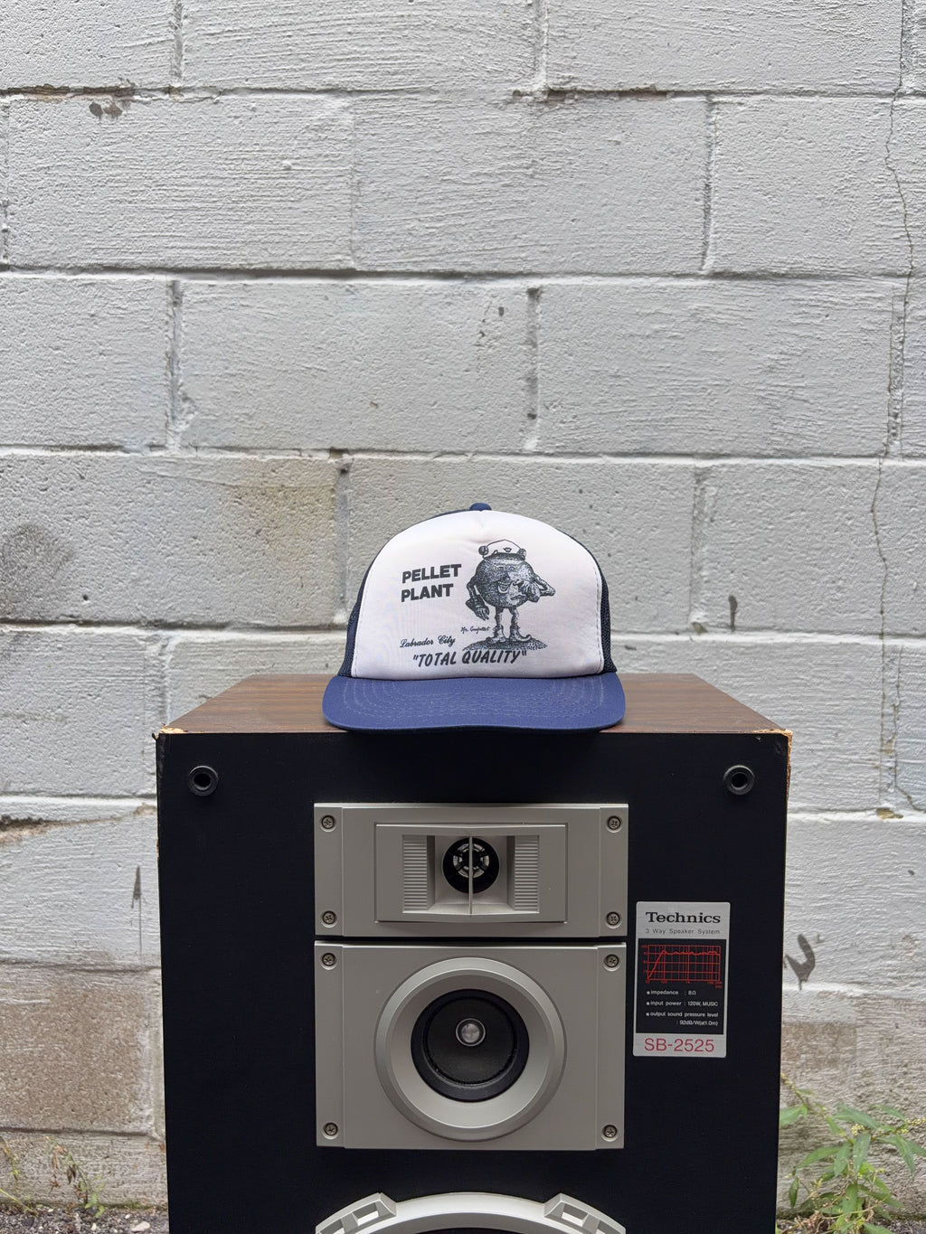 Vintage 80s/90s Pellet Plant Labrador City Mascot Graphic Trucker Snapback Hat OSFA