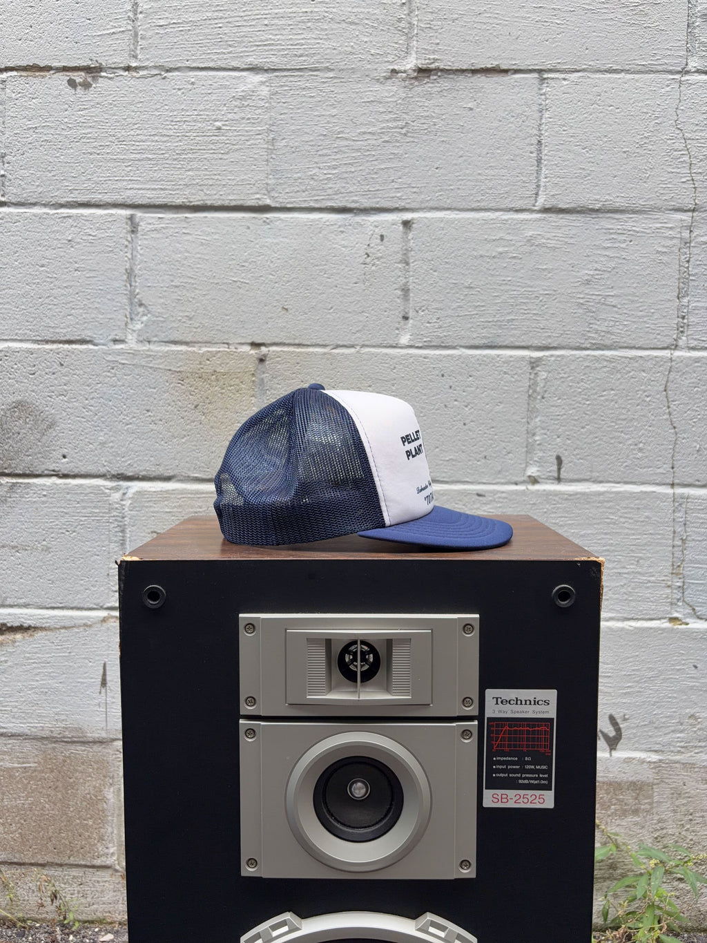 Vintage 80s/90s Pellet Plant Labrador City Mascot Graphic Trucker Snapback Hat OSFA