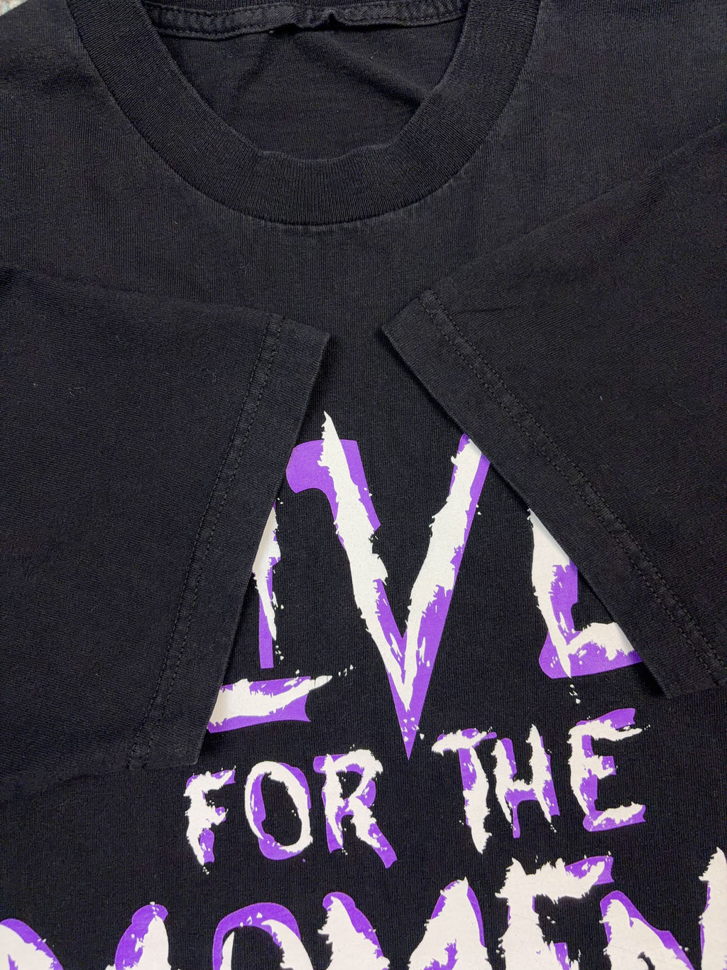 Vintage 2001 Hardy Boyz WWE Live For The Moment Wrestling Graphic T-Shirt Size Large