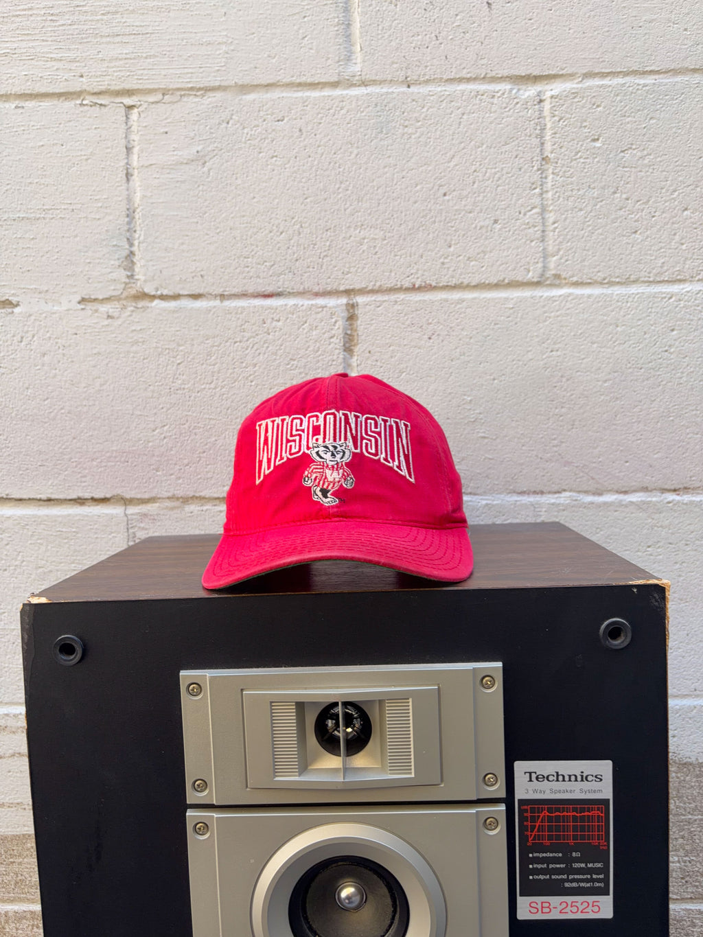 Vintage 90s Wisconsin Badgers NCAA Embroidered Mascot Spellout Snapback Hat OSFA