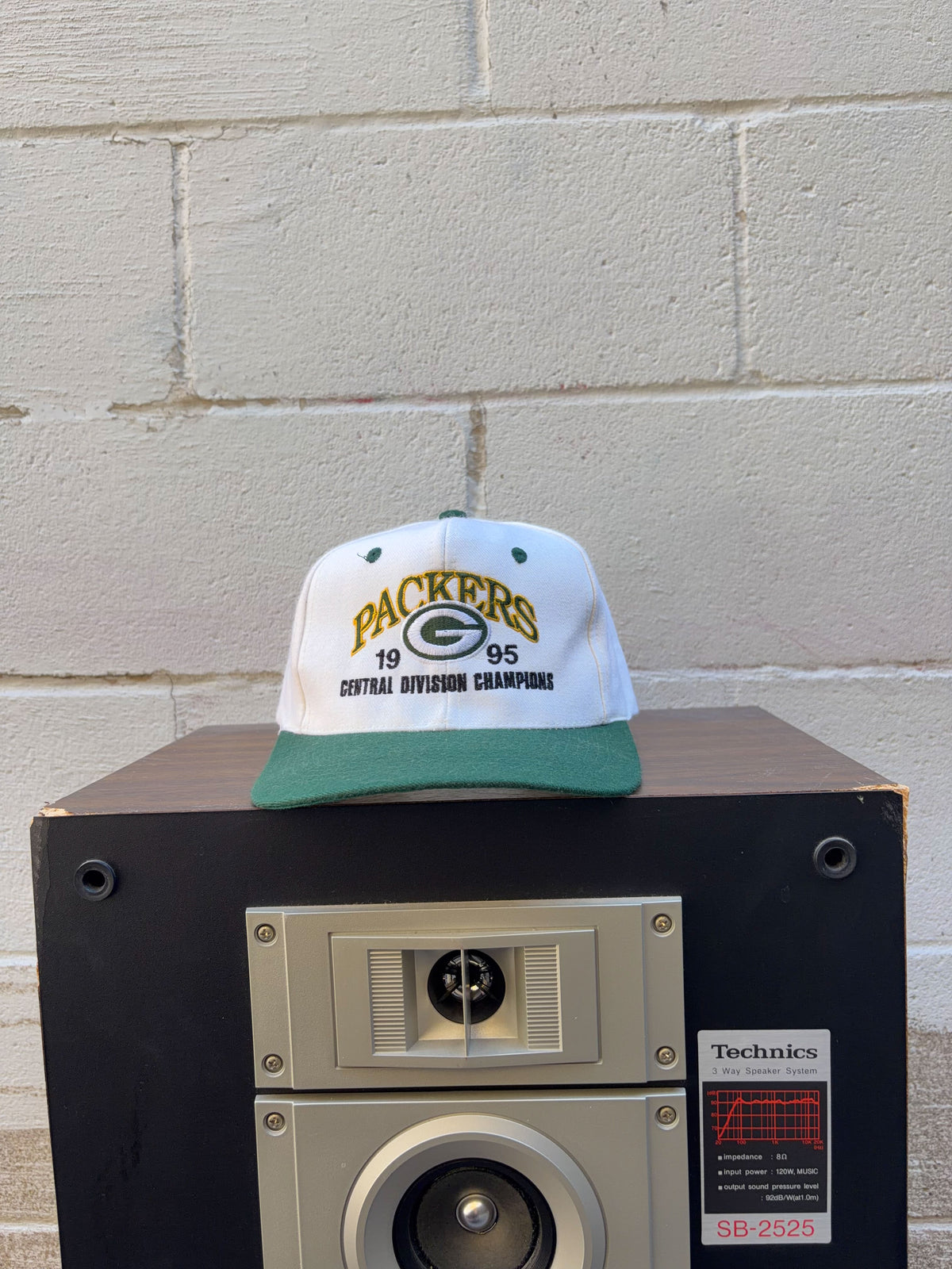 Vintage 1995 Green Bay Packers NFL Central Division Champs Snapback Hat OSFA