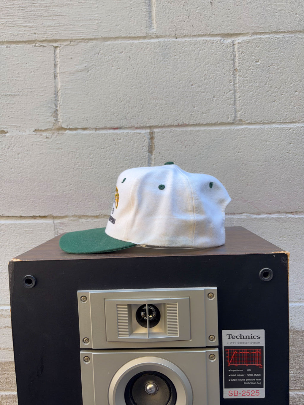 Vintage 1995 Green Bay Packers NFL Central Division Champs Snapback Hat OSFA