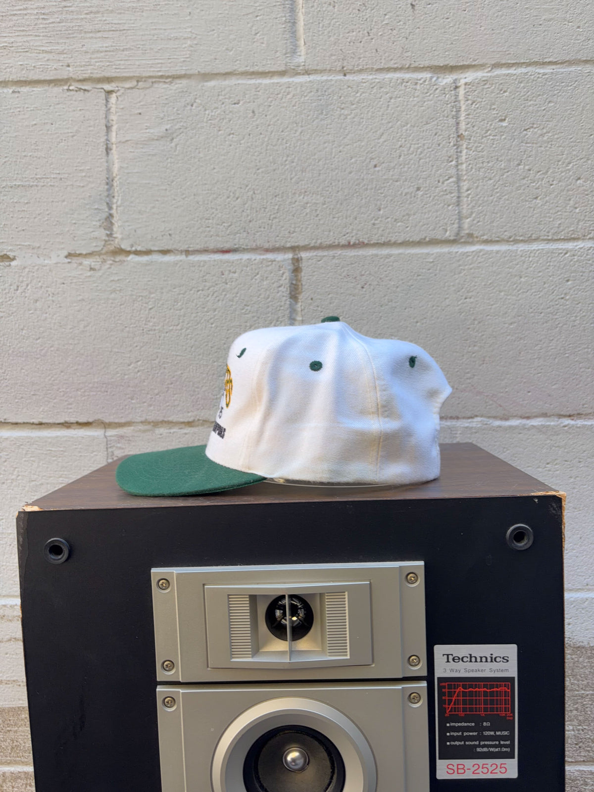 Vintage 1995 Green Bay Packers NFL Central Division Champs Snapback Hat OSFA
