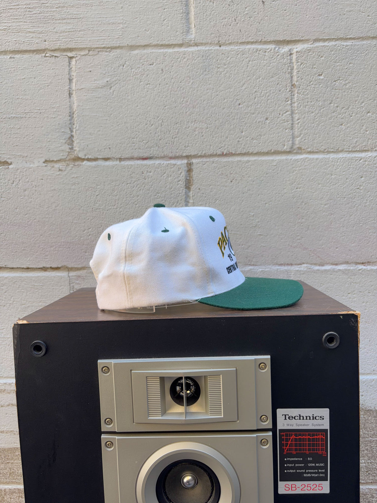 Vintage 1995 Green Bay Packers NFL Central Division Champs Snapback Hat OSFA