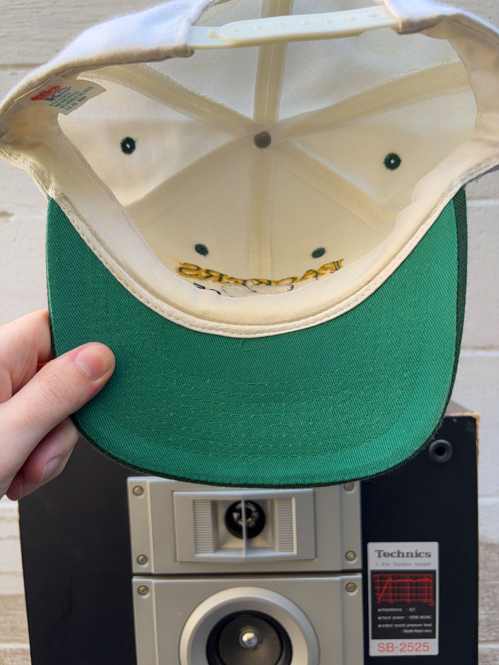 Vintage 1995 Green Bay Packers NFL Central Division Champs Snapback Hat OSFA