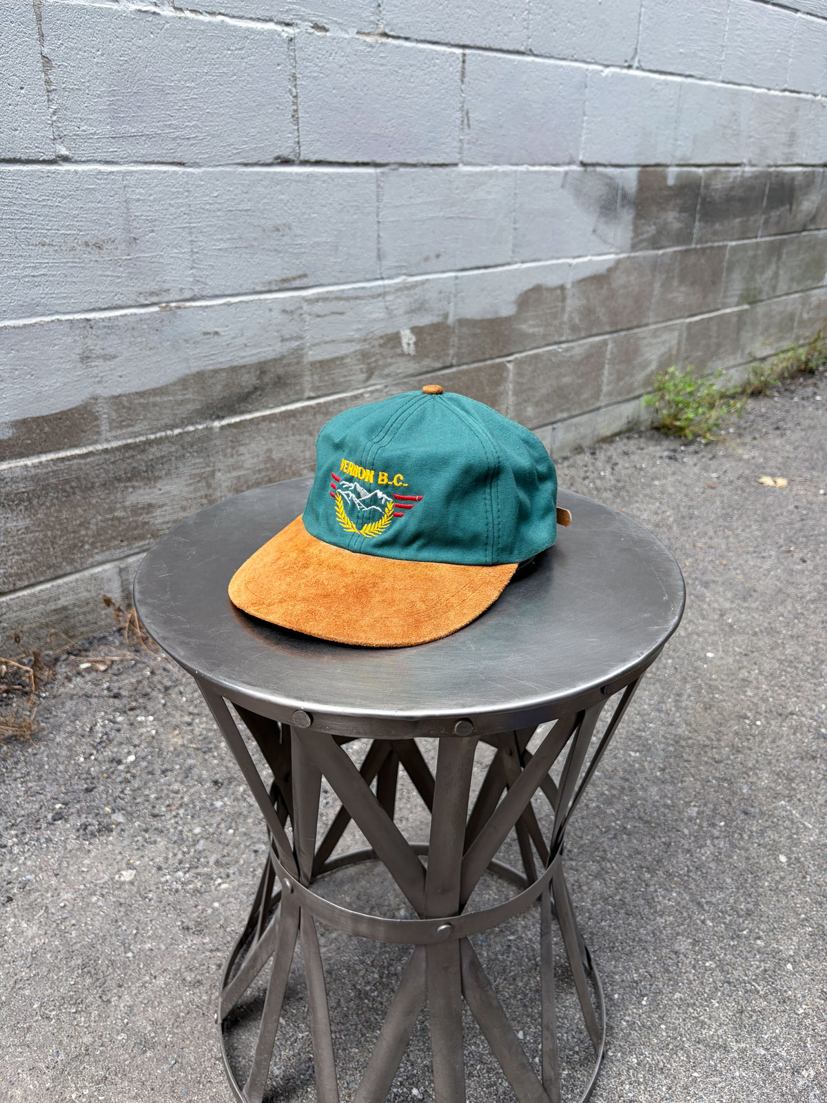Vintage Vernon B.C. Embroidered Mountain Range Crest Destination Strapback Hat OSFA