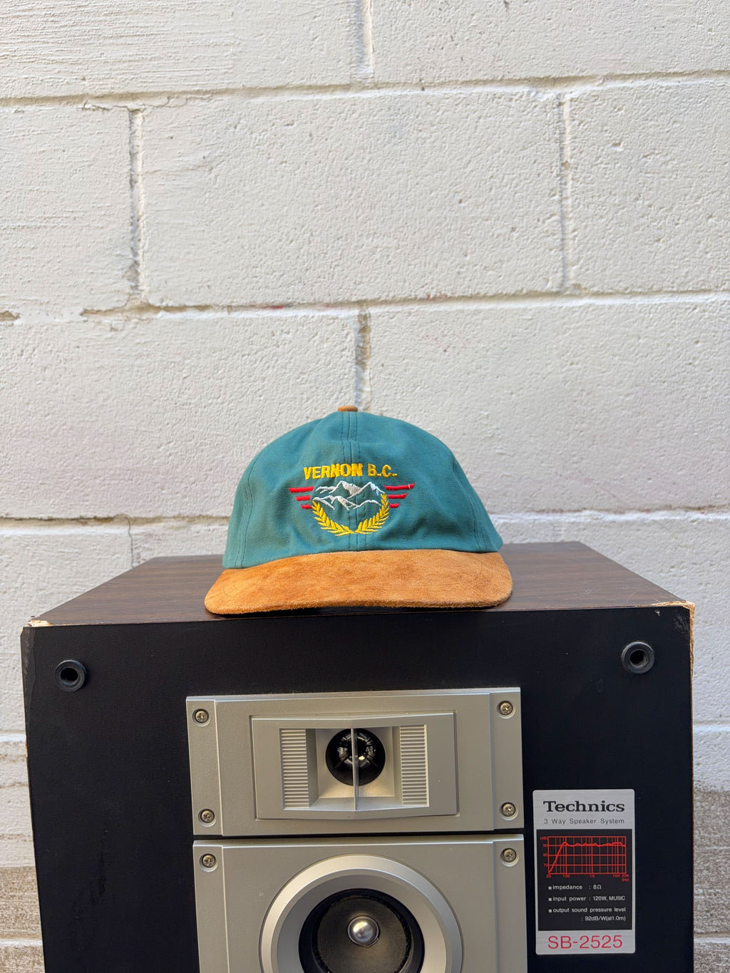 Vintage Vernon B.C. Embroidered Mountain Range Crest Destination Strapback Hat OSFA
