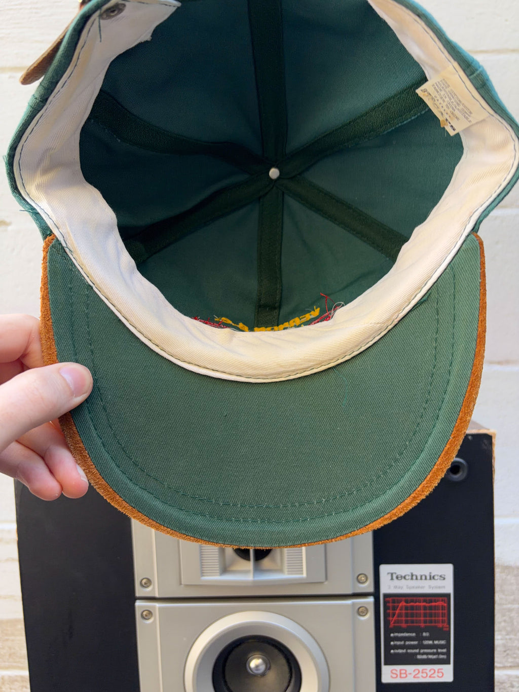 Vintage Vernon B.C. Embroidered Mountain Range Crest Destination Strapback Hat OSFA
